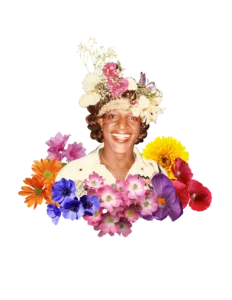 The Mahogany Project - Freshly Crowned